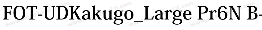FOT-UDKakugo_Large Pr6N B字体转换